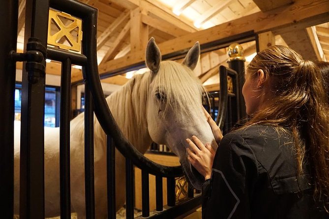 Lipica Stud Farm and Skocjan Caves From Piran or Portoroz or Izola - Pricing and Inclusions