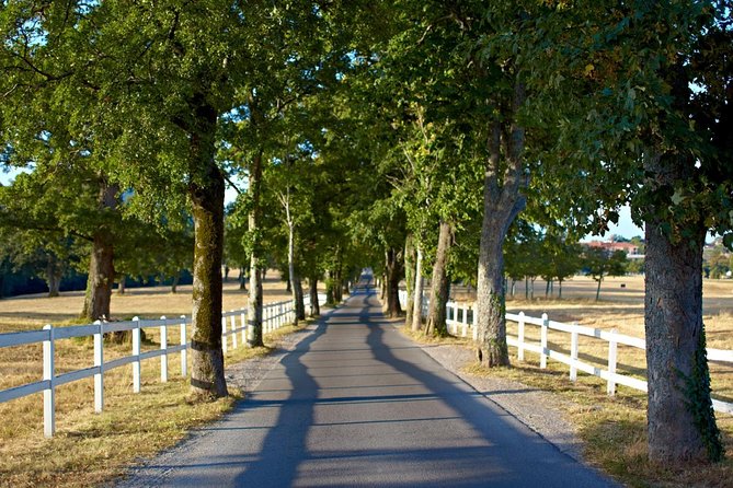 Lipica Stud Farm & Skocjan Caves - Small Group Tour From Trieste - Booking and Cancellation Policy