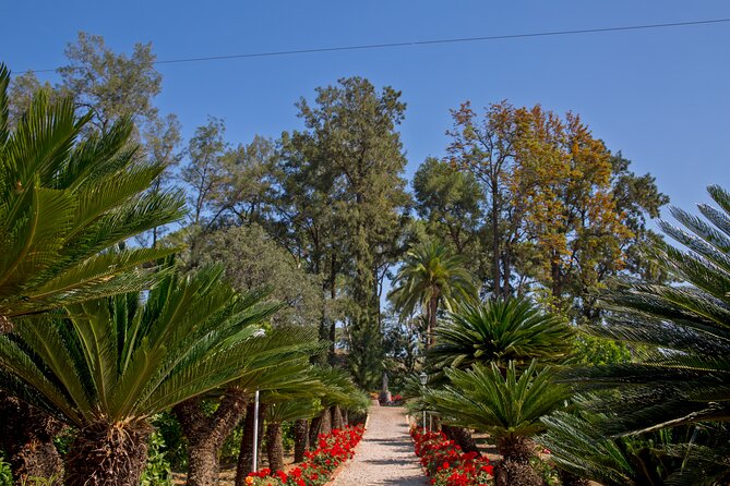 Live an Experience Among Orange Trees in Huerto Ribera - Tour Highlights