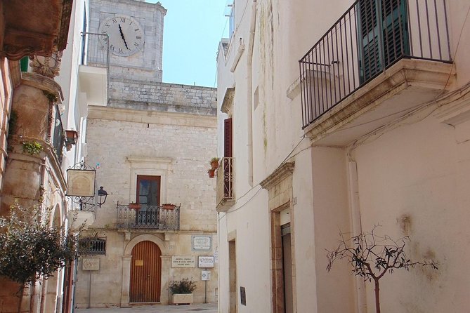 Locorotondo Private Tour: a Charming Town in the Itria Valley - Guest Experiences and Reviews