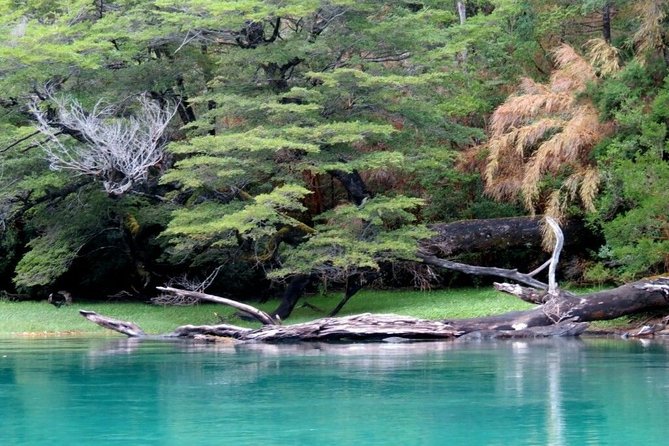Los Alerces National Park, Esquel - Half Day - Sustainable Tourism Practices