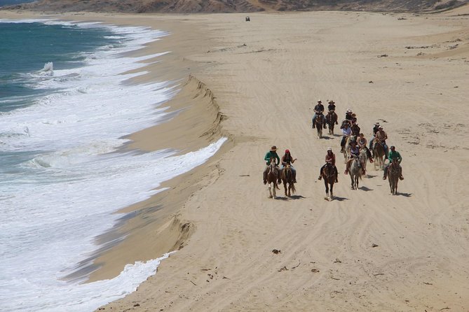 Los Cabos Horseback Riding - Booking and Reservations