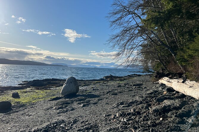 Low Tide Excursion & Beach Bonfire (w/ Totem Park Stop) - Accessibility Information
