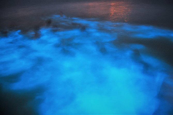 Luminous Lagoon Glistening Waters Tour From Falmouth - Witnessing the Glowing Waters