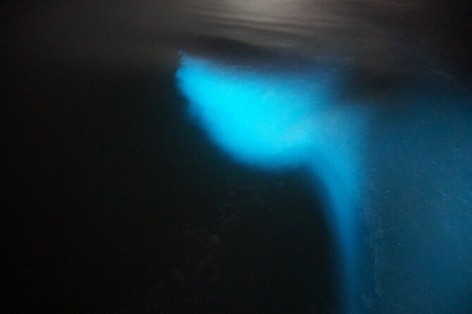 Luminous Lagoon Mystic - Booking and Cancellation Policy