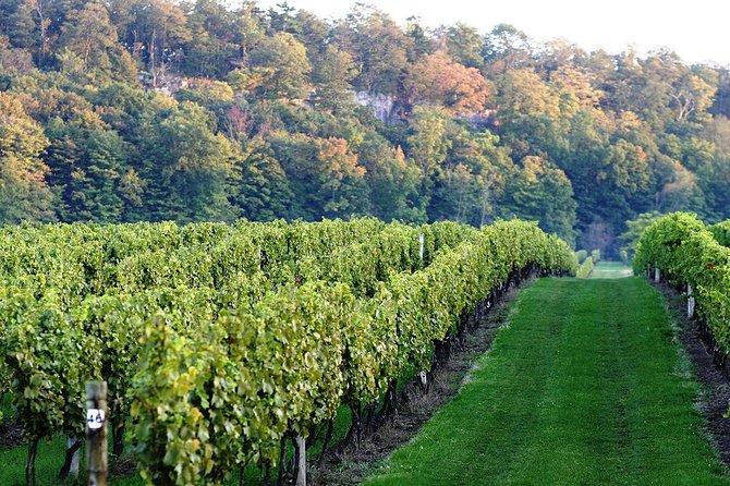 Luxury Private Tour of Niagara Falls From Toronto - Boat Cruise Availability