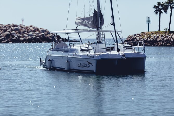 Luxury Snorkel Adventure in Cabo - Transportation Options