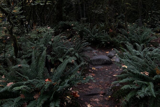 Lynn Canyon & Quarry Rock Private Tour - Booking and Cancellation