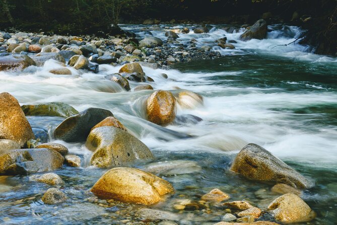 Lynn Canyon Suspension Bridge & Park Photography - Pricing and Reservation Information