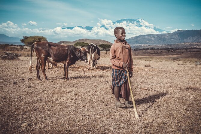 Maasai Village Visit and Chemka Hot-Springs With Hot Lunch. - Included Amenities and Accessibility