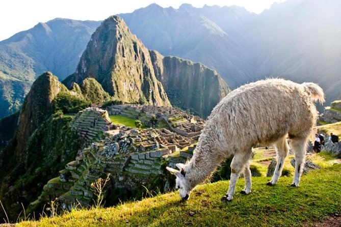 Machu Picchu By Train (Day Trip) - Machu Picchu Guided Tour