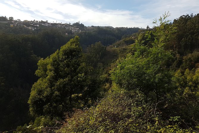 Madeira: Private Camacha Levada Do Tornos Walk - Preparing for the Walk