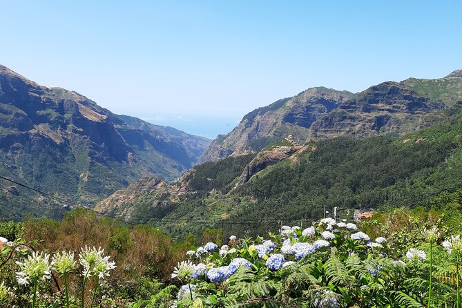 Madeira: Private Laurisilva Tour - Hydro Power Station Visit