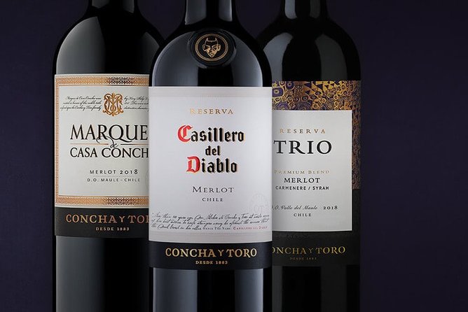 Maipo Valley Wine Tour, Concha Y Toro, Private Transfer From Santiago - Concha Y Toro Winery