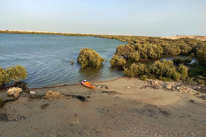 Mangrove Kayaking Purple Island Adventure - Common Issues