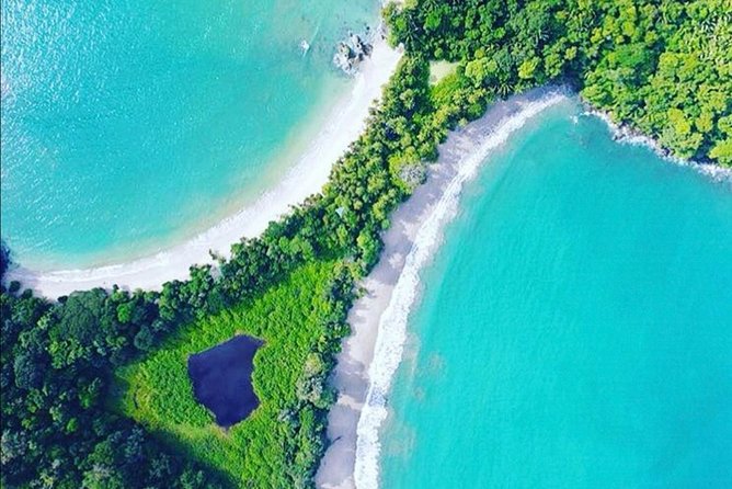 Manuel Antonio National Park Tour From San Jose. - Tour Reviews and Pricing