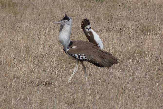 Manyara and Ngorongoro Crater - Tour Inclusions and Exclusions