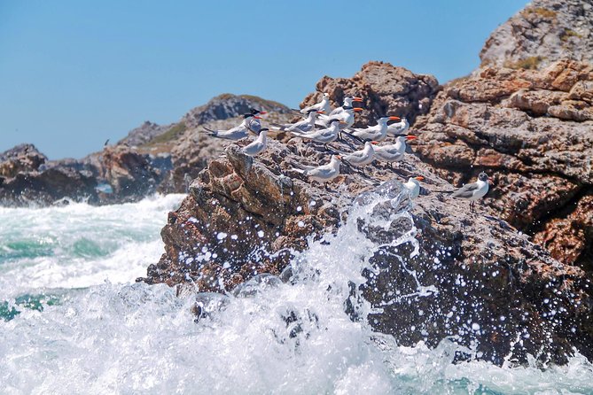 Marietas Hidden Beach Trip From Puerto Vallarta - Meeting Point and Start Time