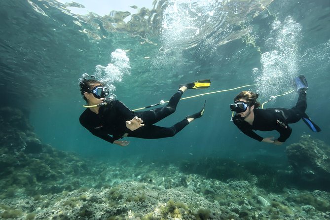 Marina Di Gioiosa Ionica First Scuba Experience  - Tropea - Booking and Pricing Information