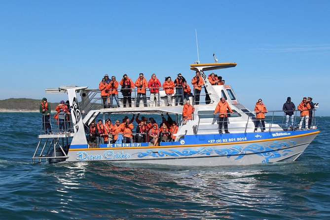 Marine Big 5 Full Day Guided Return Transfer Cape Town - Gansbaai - Pricing and Booking Information