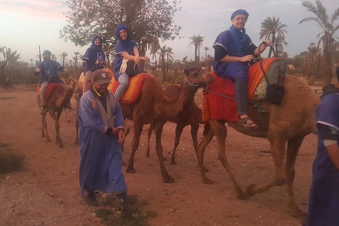 Marrakech Camel Safari at Agafay Desert - Highlights of the Tour