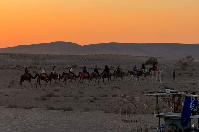 MARRAKECH QUAD BIKE : Sunset & Dinner Show Camel Experience - Customer Reviews