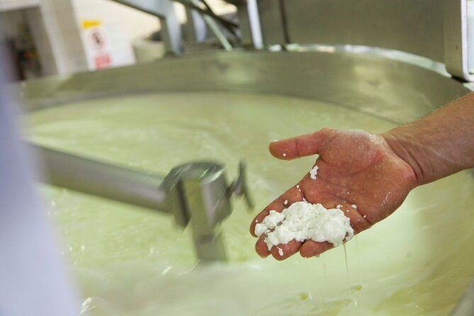 Matera Cheese Making Class - Highlights of the Experience
