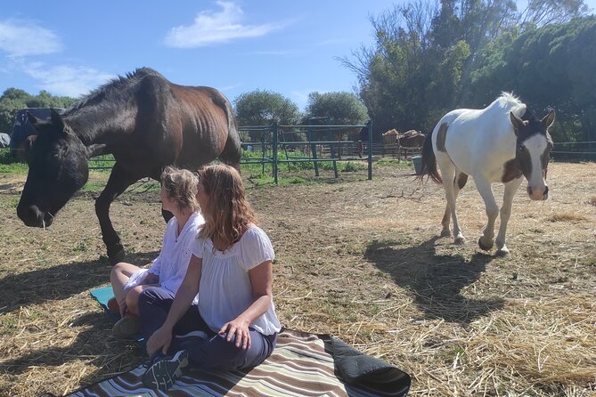 Meditation Activity: Mindfulness With Horses in Zahora - Mindfulness Benefits With Horses