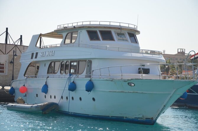 Meet the Dolphins in Snorkeling Tour - Booking and Cancellation Policy