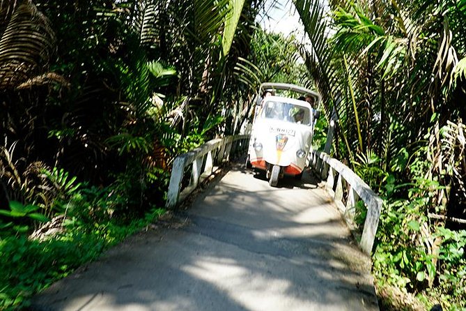 Mekong Delta and Ho Chi Minh City Private Tour Full Day - Customer Reviews