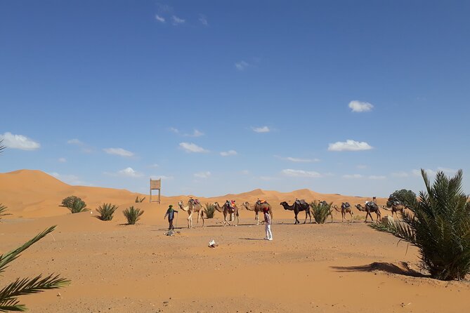 Merzouga Desert Overnight in Camp Camel Trip Sunset - Optional Sandboarding and Quad Biking