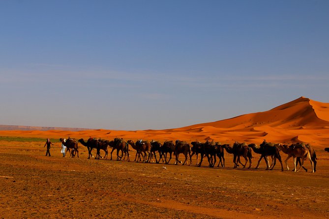 Merzouga Dunes and Berber Culture Private Day Trip With Lunch - Exploring Merzouga Dunes