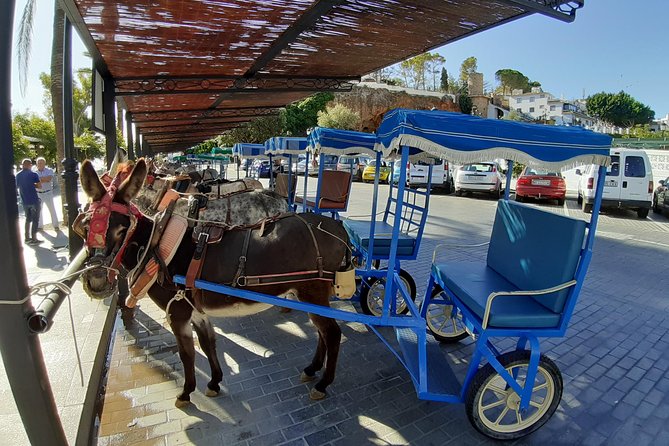 Mijas Pueblo Group Walking Tour Review - Additional Considerations