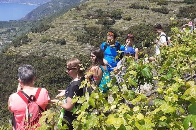 Minitrekking and Visit of the Cinque Terre Vineyard - Guide and Safety