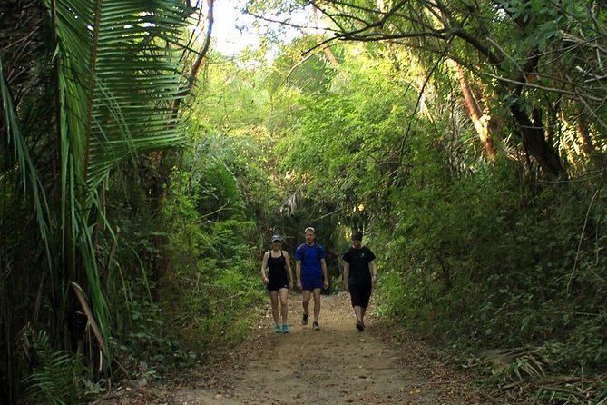 Monkey Mountain Jungle Hike Adventure - Preparing for the Hike