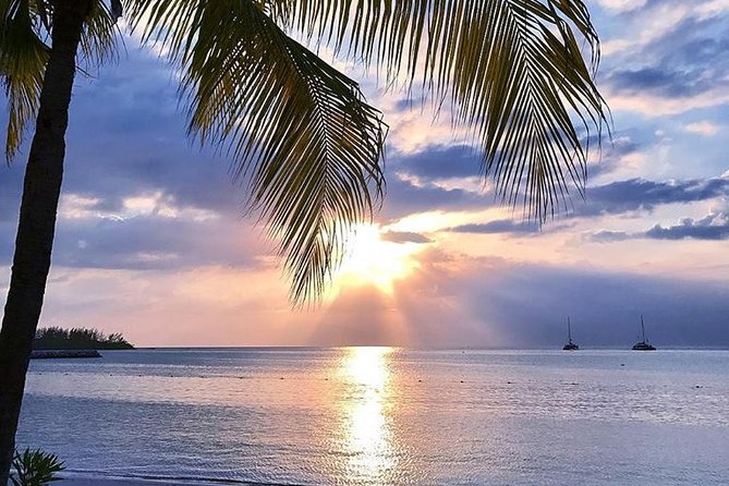Montego Bay Highlights Private Full Day Tour From Falmouth - History and Culture Exploration