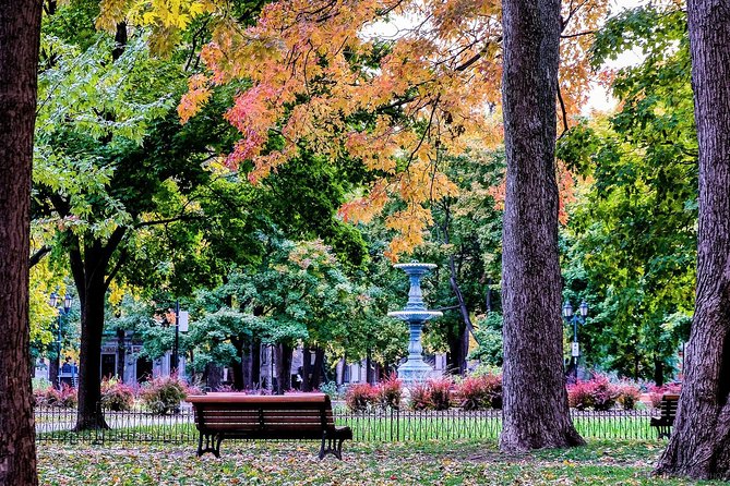 Montreals Plateau Mont-Royal and Mile End Tour by MTL Detours - Booking and Cancellation Policy