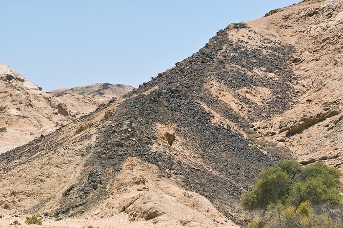 Moon Landscape and Welwitschia 4x4 Half-Day Tour From Walvis Bay - Accessibility and Requirements
