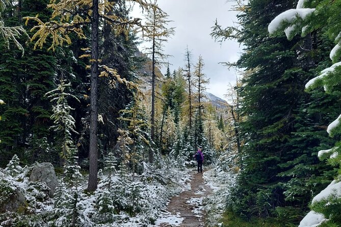 Moraine Lake: Larch Valley Hike, Departure From Banff - What to Bring