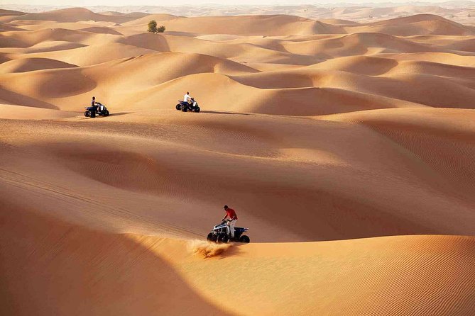 Morning Desert Safari With Quad Bike Tour Abu Dhabi - Accessibility and Recommendations
