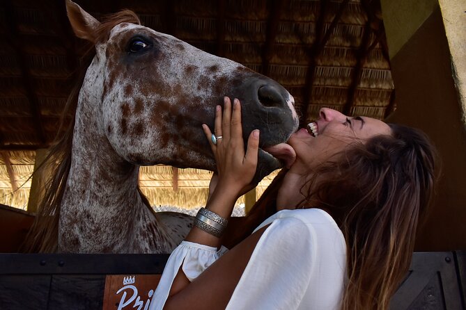 Morning Horseback Riding to the Beach and Breakfast! - Booking and Pricing