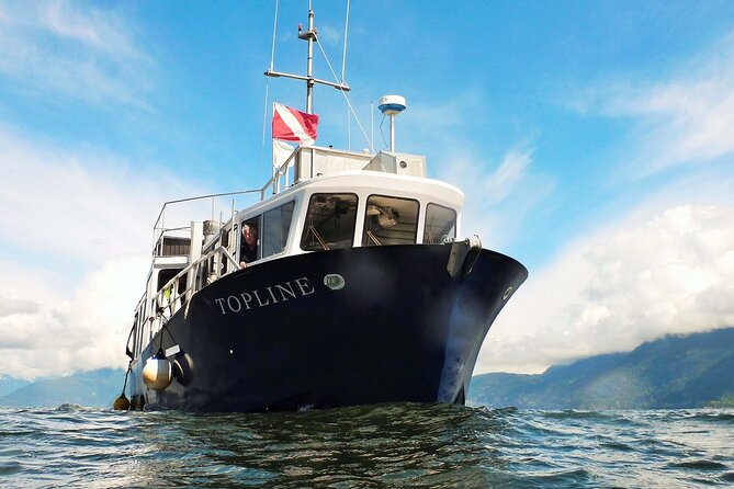 Morning Kayak & Seal Cruise - Operational Details