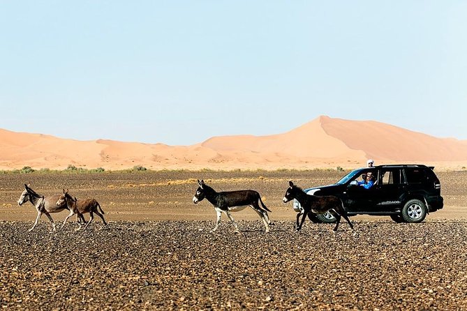 Morocco Grand Journey 14 Days Tour - Meeting Information