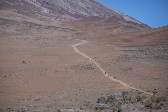 Mount Kilimanjaro Marangu Route 5 Days - Health and Safety Guidelines