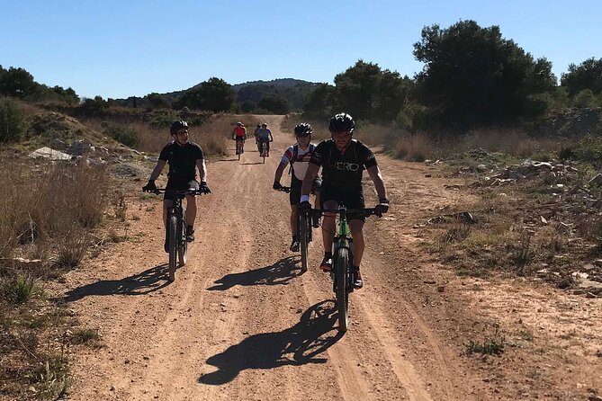 Mountain Bike Tour Font De La Mata - Meeting Point and Schedule
