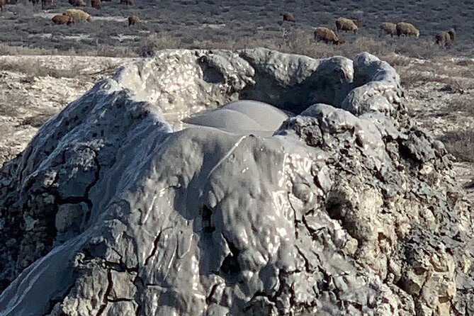 Mud Volcanoes & Gobustan Private Tour - Pricing and Booking Information