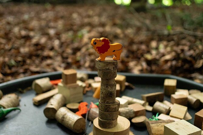 Muddy Tots Go Wild Forest School Ballynahinch County Down - Inclusions and Activities