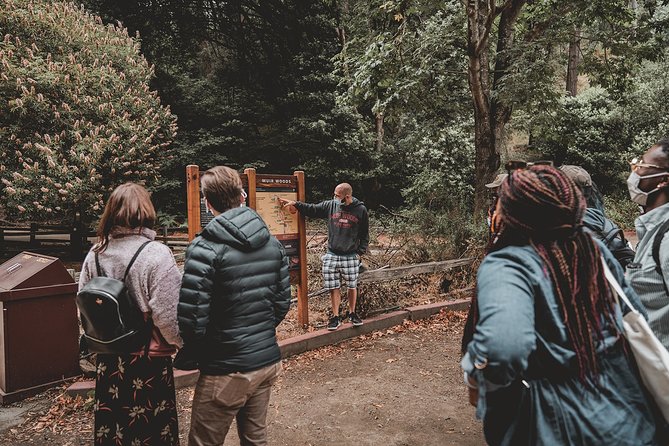 Muir Woods Expedition Tour of Coastal Redwoods - Transportation Options