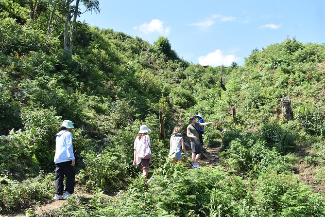 Muong Hoa Valley View & Village Trek in Sapa 1 Day - Important Considerations