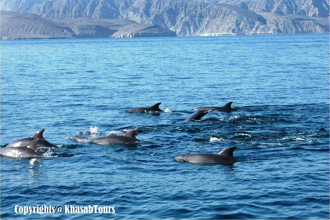 Musandam Khasab Day Trip and Dhow Cruise From Dubai - Snorkeling and Water Sports